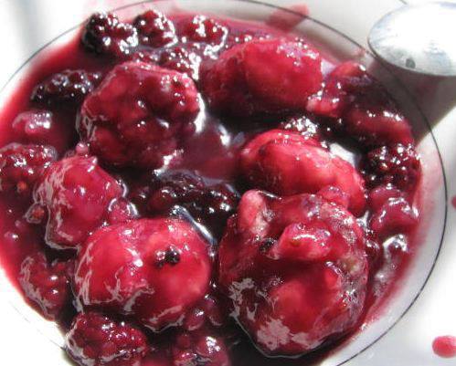 Tom's Easy Blackberry Dumplings