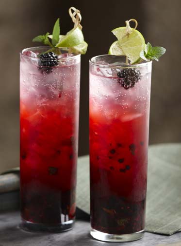 Tom's Blackberry Ginger Mojito