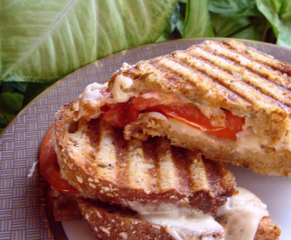 Tom's Caprese Panini